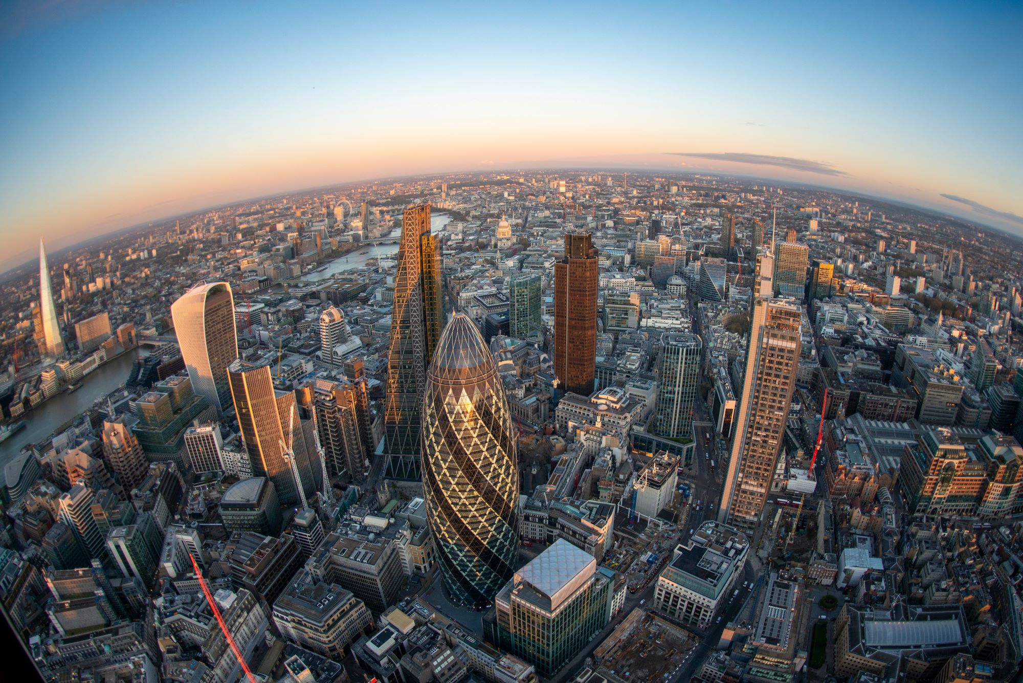 Financial Services Agreements
