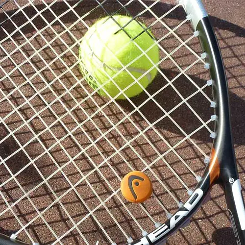 Oconnors Profile Mike Tennis