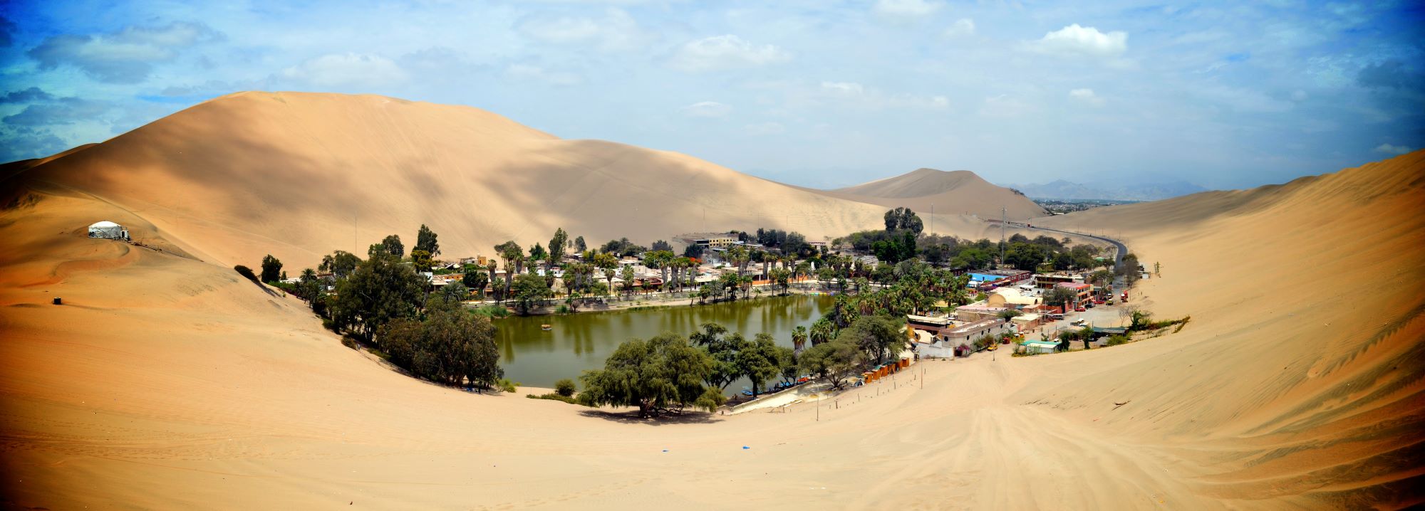 Oasis