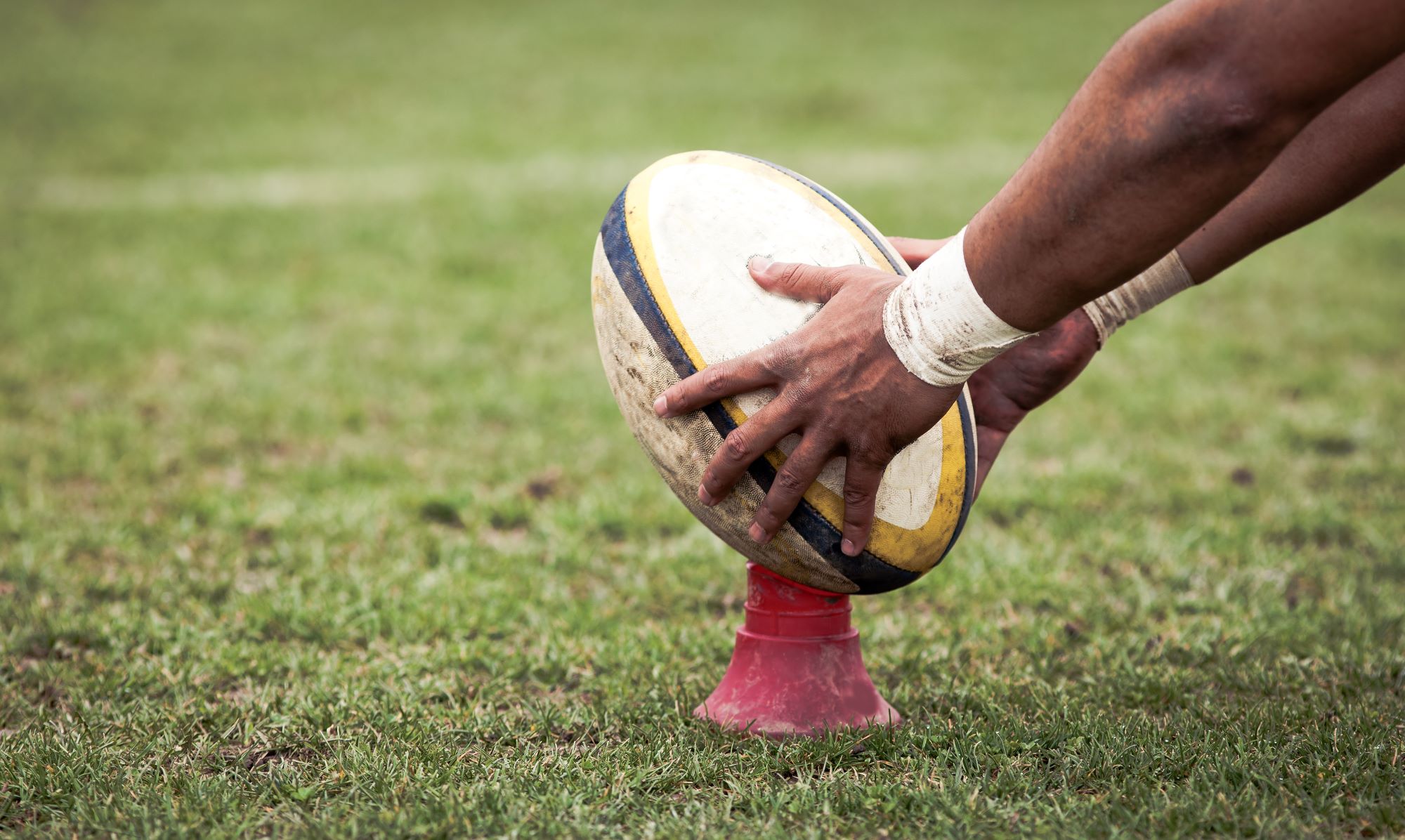 Rugby (Michael)